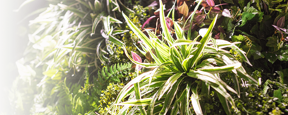 疲労回復・活力改善